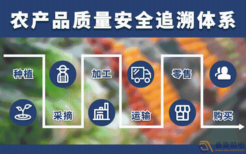 RFID技術(shù)在食品廠(chǎng)安全追溯的管理